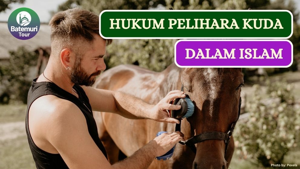 Ini Dia Hukum Pelihara dan Menunggang Kuda dalam Islam